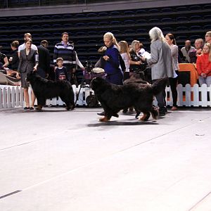 IMG_0201