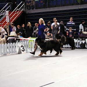 IMG_0204