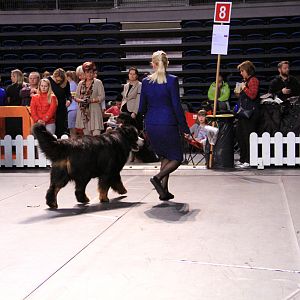 IMG_0205