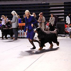 IMG_0206