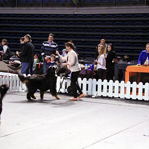 IMG_0239