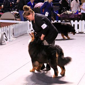 IMG_0274