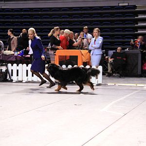 IMG_0278
