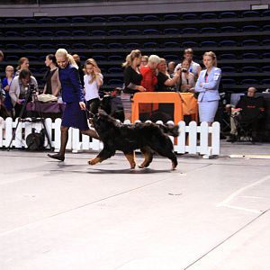 IMG_0279