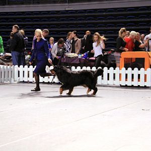 IMG_0281