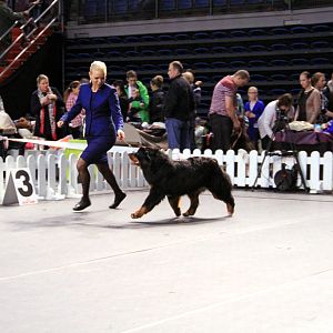 IMG_0282