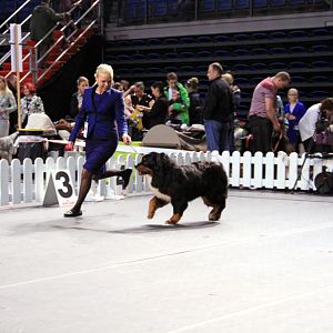 IMG_0283