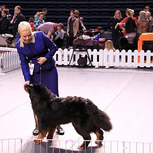IMG_0288