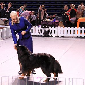 IMG_0289