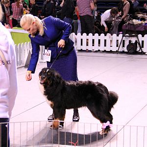 IMG_0290