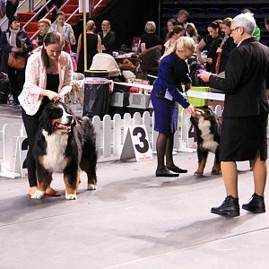 IMG_0291