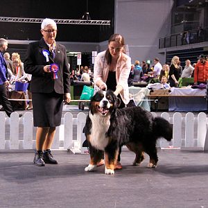 IMG_0293