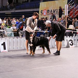 IMG_0303
