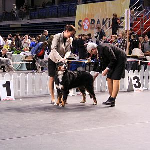 IMG_0304