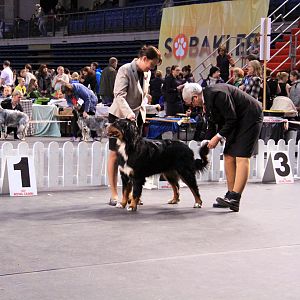 IMG_0305