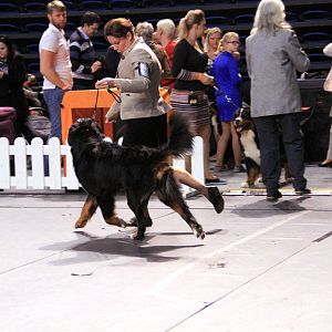 IMG_0306
