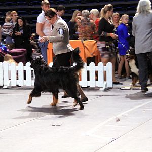 IMG_0307