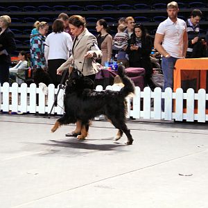 IMG_0308