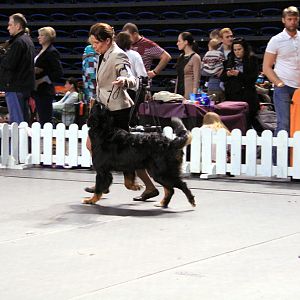 IMG_0309