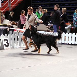 IMG_0310
