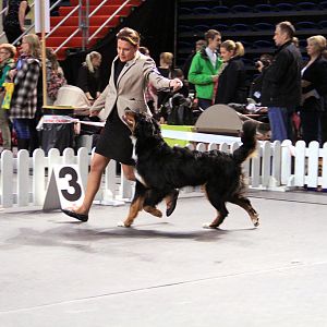 IMG_0311