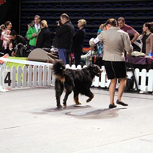 IMG_0312