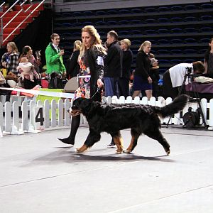 IMG_0318