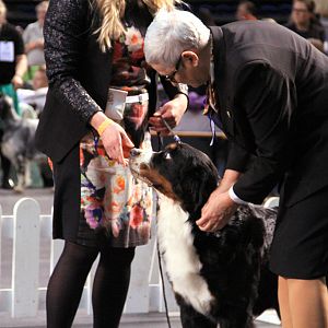 IMG_0320