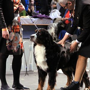 IMG_0322