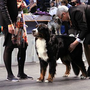 IMG_0325