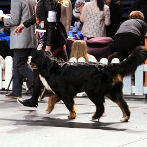 IMG_0327