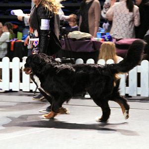 IMG_0328