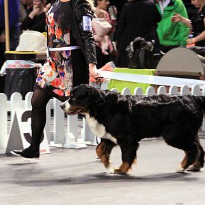 IMG_0330
