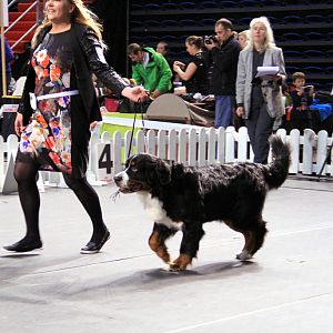 IMG_0333