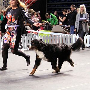 IMG_0334