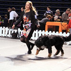 IMG_0335