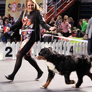 IMG_0336