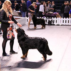 IMG_0337