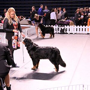 IMG_0340