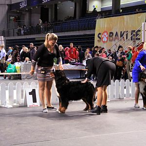 IMG_0341