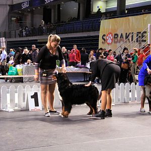 IMG_0342