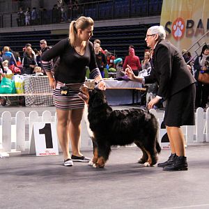 IMG_0344
