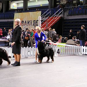 IMG_0345