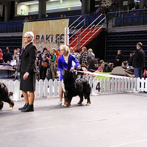 IMG_0346