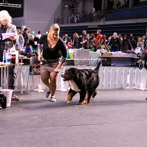 IMG_0347