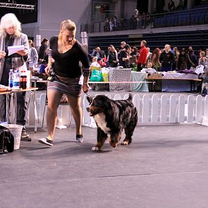 IMG_0348