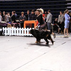 IMG_0349