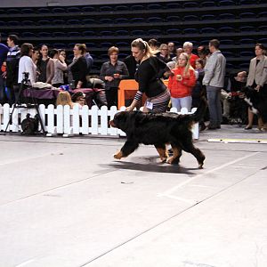 IMG_0350