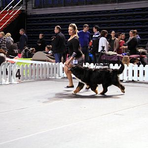 IMG_0351