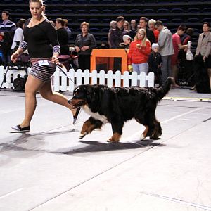 IMG_0352